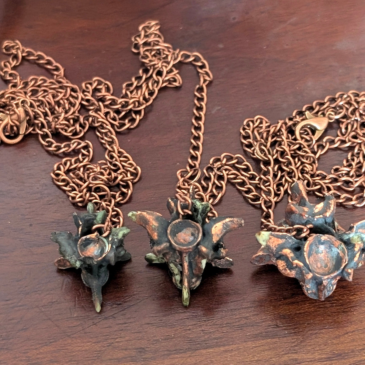 Square view of three available python vertebrae pendulums