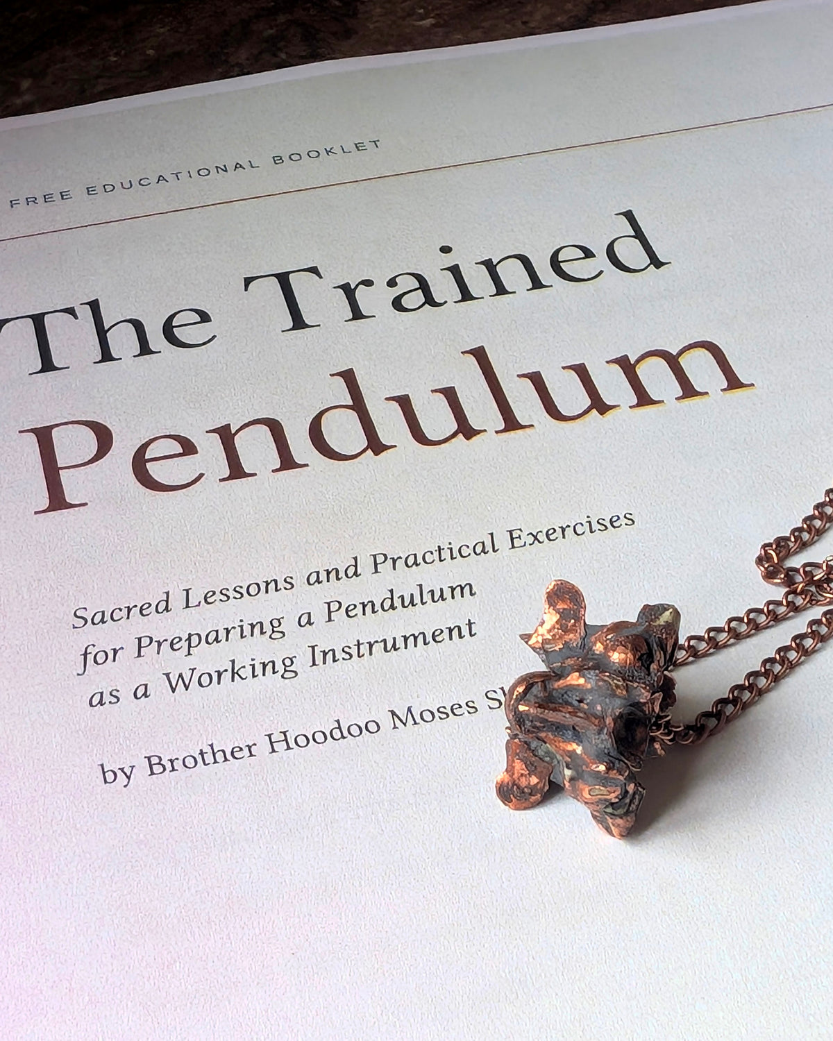 Python vertebrae pendulum with The Trained Pendulum guide