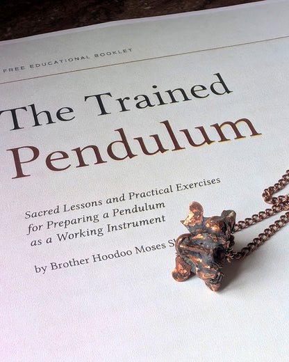 Python vertebrae pendulum with The Trained Pendulum guide
