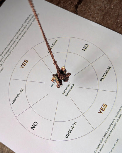 Python vertebrae pendulum over the Basic Response Field