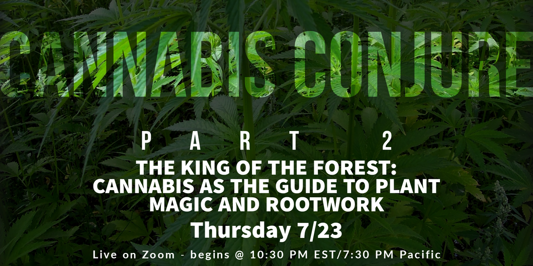 The King of the Forest - the Alchemy of Plants with Cannabis as Master Key Webinar